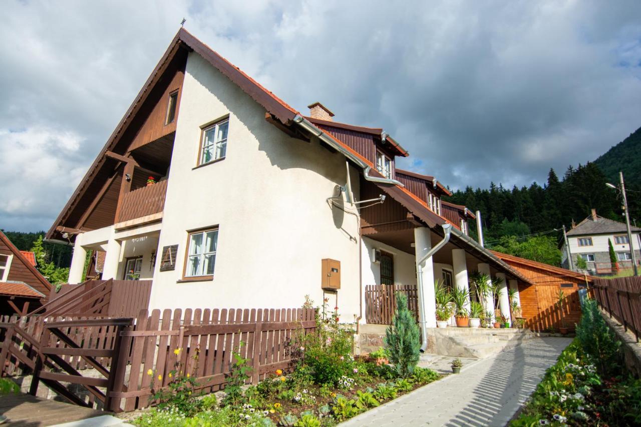 Pension Csomad BaileTusnad Buitenkant foto